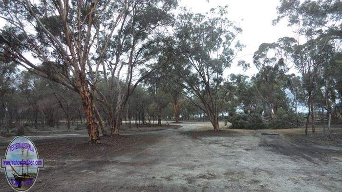 Rest area north of Katanning