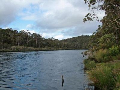 Frankland River (C) Don Copley