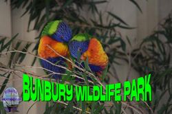 Bunbury Wildlife Park