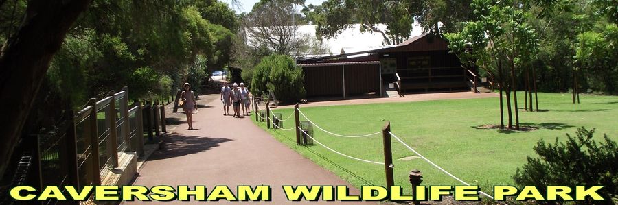 Caversham Wildlife Park