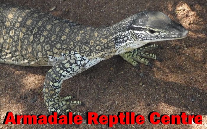 Armadale Reptile Centre