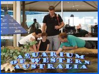 Aquarium of Western Australia