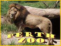 Perth Zoo