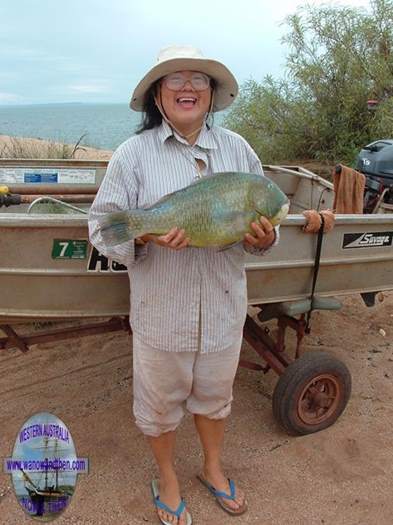 Black spotted tusk fish