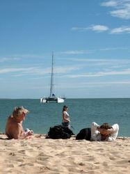 Shark Bay Picture Gallery