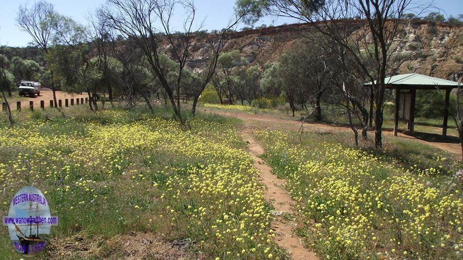 Coalseam Reserve