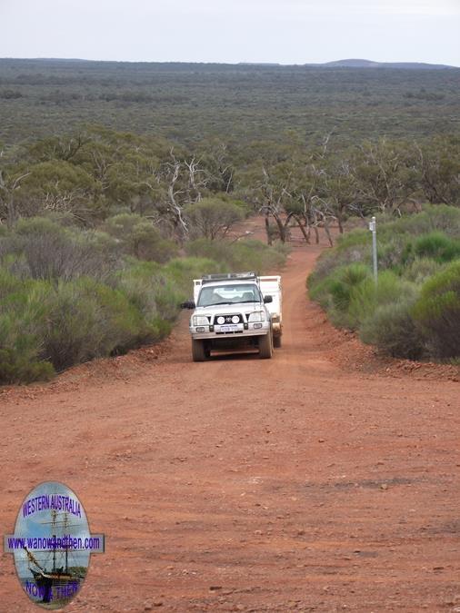 John Forrest Lookout