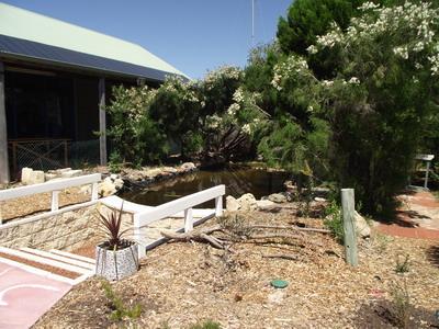 Native Wetland