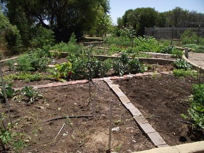 garden beds