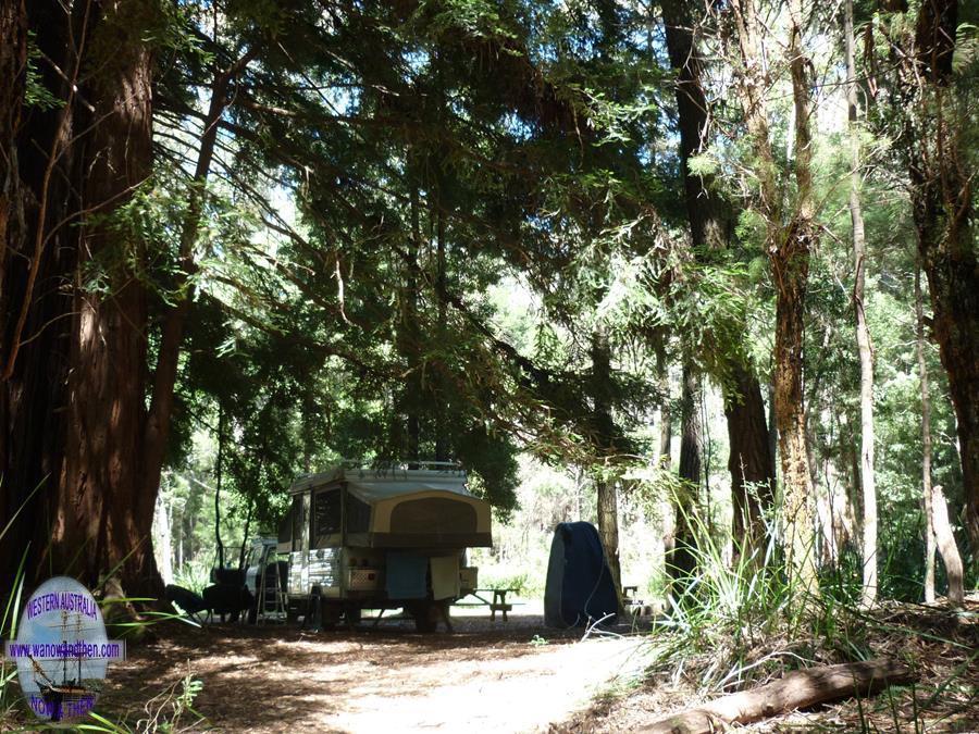 Big Brook Arboretum Campsite