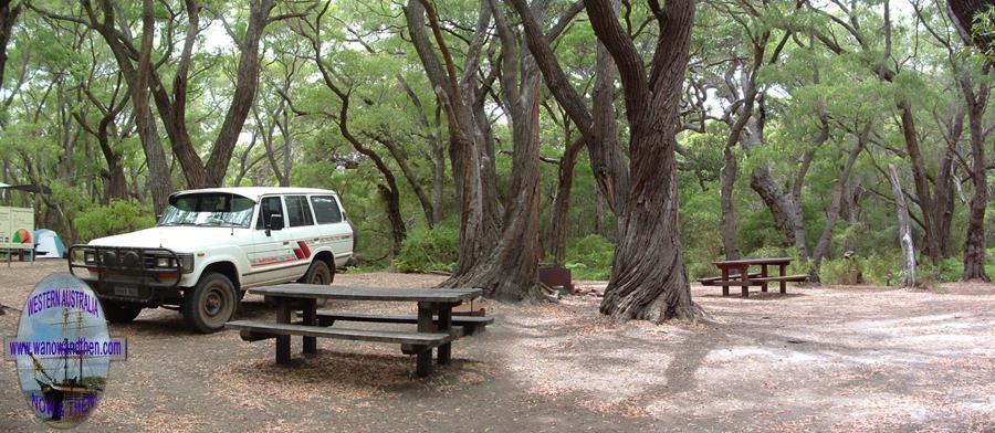 Point Road campsite