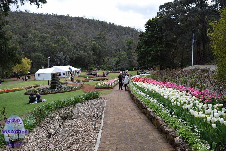 Araluen