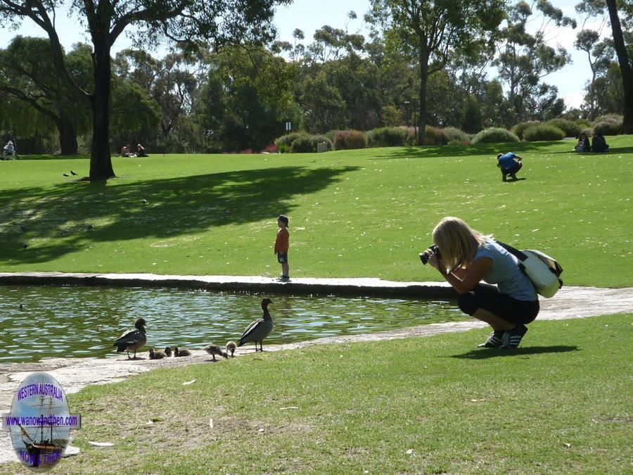 Kings Park