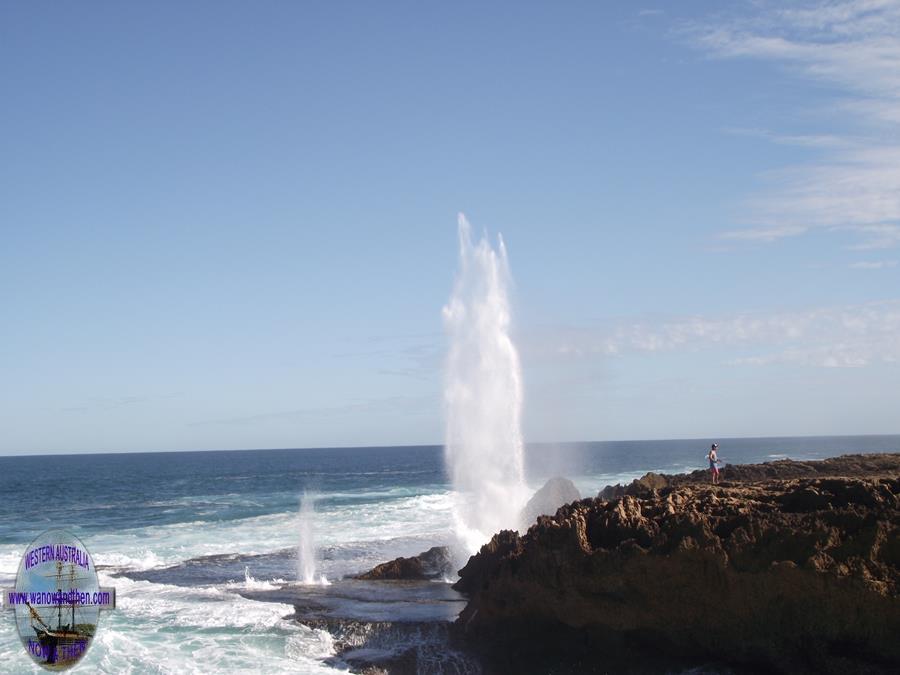 The Blowholes